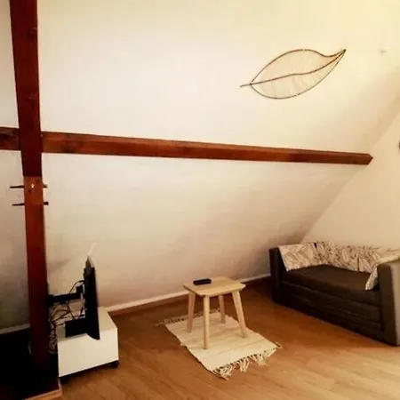 Bel T2 Apartment Loudenvielle