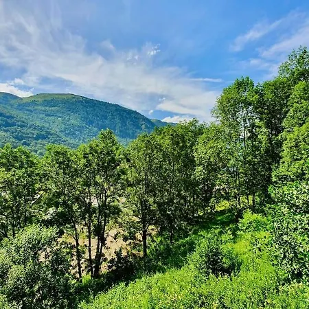 Bel T2 * Луданвьель